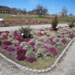 02.04.2021. Kielce. Ogród botaniczny / Wiktor Taszłow / Radio Kielce