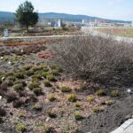 02.04.2021. Kielce. Ogród botaniczny / Wiktor Taszłow / Radio Kielce