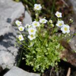 11.04.2021. Kielce. Wiosna na ogródkach działkowych / Wiktor Taszłow / Radio Kielce