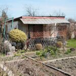 11.04.2021. Kielce. Wiosna na ogródkach działkowych / Wiktor Taszłow / Radio Kielce