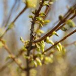 Zatoka niżowa „popsuje" sobotę, ale za to niedziela...