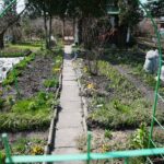 11.04.2021. Kielce. Wiosna na ogródkach działkowych / Wiktor Taszłow / Radio Kielce