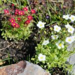 Czy już czas na prace w ogrodzie?