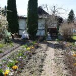 11.04.2021. Kielce. Wiosna na ogródkach działkowych / Wiktor Taszłow / Radio Kielce