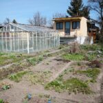 11.04.2021. Kielce. Wiosna na ogródkach działkowych / Wiktor Taszłow / Radio Kielce