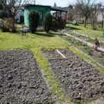 11.04.2021. Kielce. Wiosna na ogródkach działkowych / Wiktor Taszłow / Radio Kielce