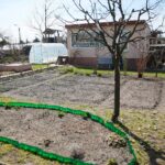 Kieleckie ogrody mogą być piękniejsze