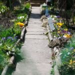 11.04.2021. Kielce. Wiosna na ogródkach działkowych / Wiktor Taszłow / Radio Kielce