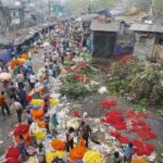 Indie / Danuta Rasała / archiwum prywatne