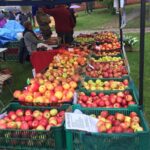 22.05.2021. Tokarnia. 5. Świętokrzyski Festiwal Smaków / Paulina Michta / Radio Kielce