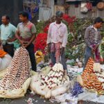 Indie / Danuta Rasała / archiwum prywatne