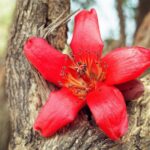 Muzyczne podróże. Indie / Danuta Rasała