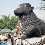 Indie / Danuta Rasała / archiwum prywatne