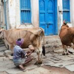 Indie / Danuta Rasała / archiwum prywatne