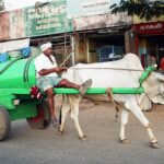 Indie / Danuta Rasała / archiwum prywatne