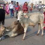 Indie / Danuta Rasała / archiwum prywatne