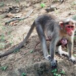 Indie / Danuta Rasała / archiwum prywatne