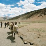 Muzyczne podróże. Indie / Danuta Rasała