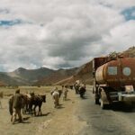 Muzyczne podróże. Indie / Danuta Rasała