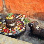 Indie / Danuta Rasała / archiwum prywatne