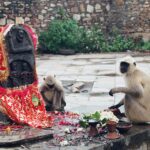 Indie / Danuta Rasała / archiwum prywatne