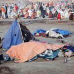 Indie / Danuta Rasała / archiwum prywatne