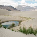 Muzyczne podróże. Indie / Danuta Rasała