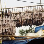 Indie / Danuta Rasała / archiwum prywatne