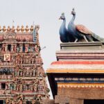 Indie / Danuta Rasała / archiwum prywatne