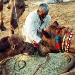 Muzyczne podróże. Indie