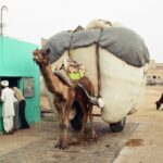 Muzyczne podróże. Indie