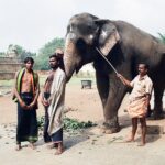 Indie / Danuta Rasała / archiwum prywatne