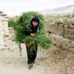 Muzyczne podróże. Indie / Danuta Rasała