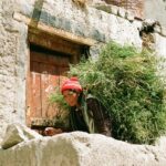 Muzyczne podróże. Indie / Danuta Rasała