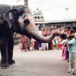 Indie / Danuta Rasała / archiwum prywatne