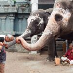 Indie / Danuta Rasała / archiwum prywatne