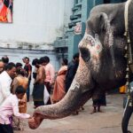 Indie / Danuta Rasała / archiwum prywatne