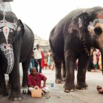 Indie / Danuta Rasała / archiwum prywatne