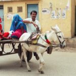 Muzyczne podróże. Indie