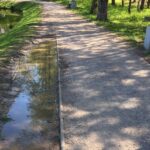 11.05.2021. Kielce. Ścieżka rowerowa wokół zalewu kieleckiego / Paulina Michta / Radio Kielce