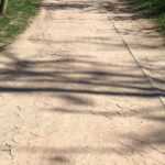 11.05.2021. Kielce. Ścieżka rowerowa wokół zalewu kieleckiego / Paulina Michta / Radio Kielce