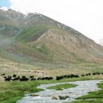 Muzyczne podróże. Indie / Danuta Rasała