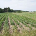 Powiat włoszczowski. Ścieżki rowerowe / Starostwo Powiatowe we Włoszczowie