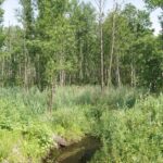 Powiat włoszczowski. Ścieżki rowerowe / Starostwo Powiatowe we Włoszczowie