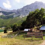 Muzyczne podróże. Bośnia i Hercegowina / Aleksandra Zagórska-Chabros / Marek Chabros