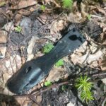 10.05.2021 Końskie. Znaleziska członków stowarzyszenia historyczno-eksploracyjnego „Kohorta” / Stowarzyszenie historyczno-eksploracyjnego „Kohorta”