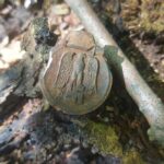 10.05.2021 Końskie. Znaleziska członków stowarzyszenia historyczno-eksploracyjnego „Kohorta” / Stowarzyszenie historyczno-eksploracyjnego „Kohorta”