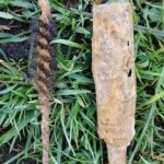 10.05.2021 Końskie. Znaleziska członków stowarzyszenia historyczno-eksploracyjnego „Kohorta” / Stowarzyszenie historyczno-eksploracyjnego „Kohorta”