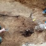 15.05.2021 Biały Ług w gminie Słupia Konecka. Prace w jamie grobowej gdzie znaleziono szczątki dwóch ciał / Dionizy Krawczyński / Radio Kielce