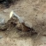 15.05.2021 Biały Ług w gminie Słupia Konecka. Prace w jamie grobowej gdzie znaleziono szczątki dwóch ciał / Dionizy Krawczyński / Radio Kielce